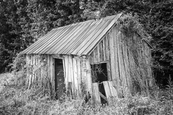 2022 July 03 OldShack01 Print