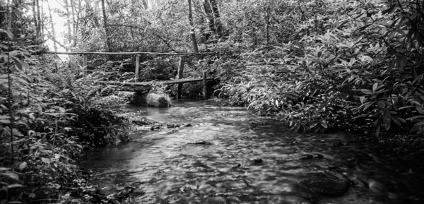 2022 June 20 RusticBridge02 Print