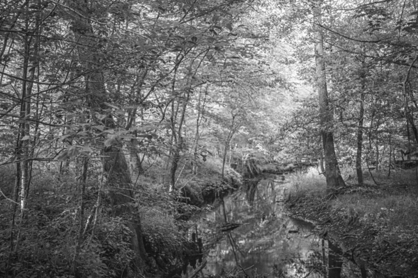 2022 May 04 IslandCrk03 Print
