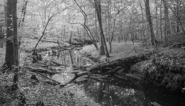 2022 Sept 18 IslandCreek01 Print