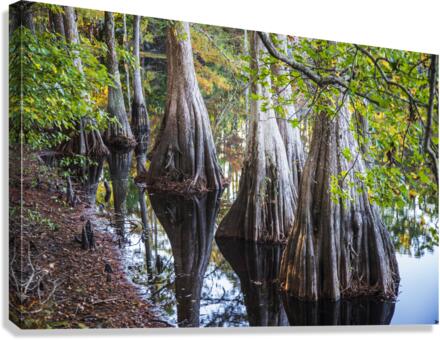 2022 Oct 20 MillPond02  Canvas Print