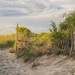2020 July 18 BeachPath01
