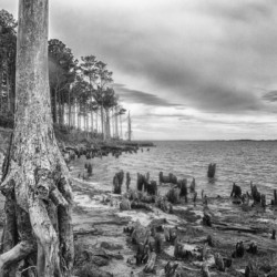 2022 Aug 19 CedarIsleShoreline01