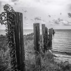 2022 Aug 19 Seawall01