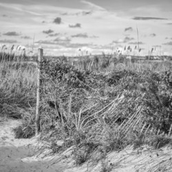 2022 Aug 30 BeachPath01