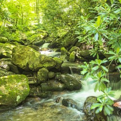 2022 June 20 NoNameFalls01