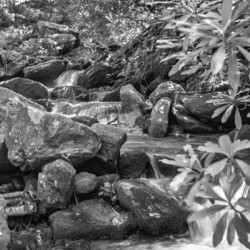 2022 June 20 NoNameFalls02