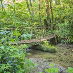 2022 June 20 RusticBridge01
