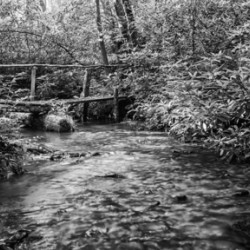 2022 June 20 RusticBridge02