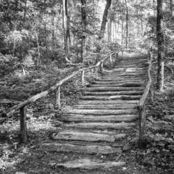 2022 June 20 TrailStairs01