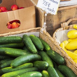2022 Sept 17 Cucmbers01