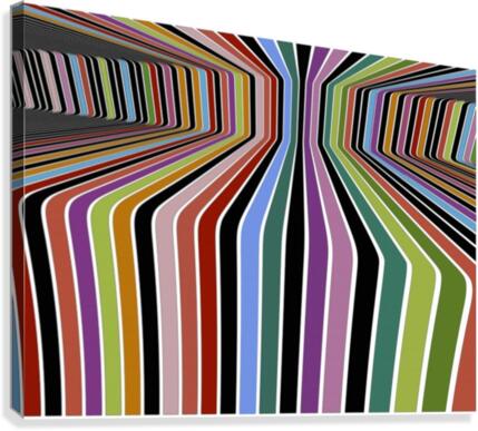 Vision Canvas Print