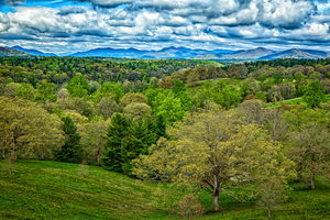 IMG 4060 Edit Biltmore Estate Gardens and Gro
