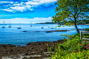 Simonton Cove Portland Maine
