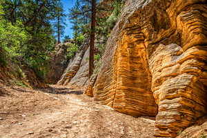  MG 0859 Edit Lick Wash Trail Hike