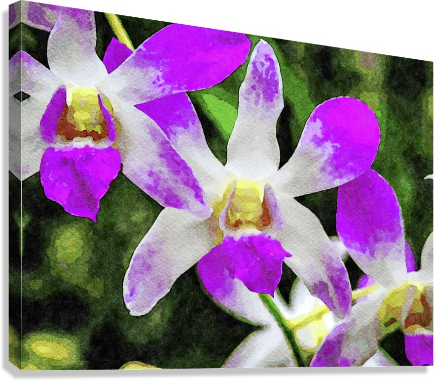 Vibrant watercolor painting of violet orchid blossoms Canvas Print