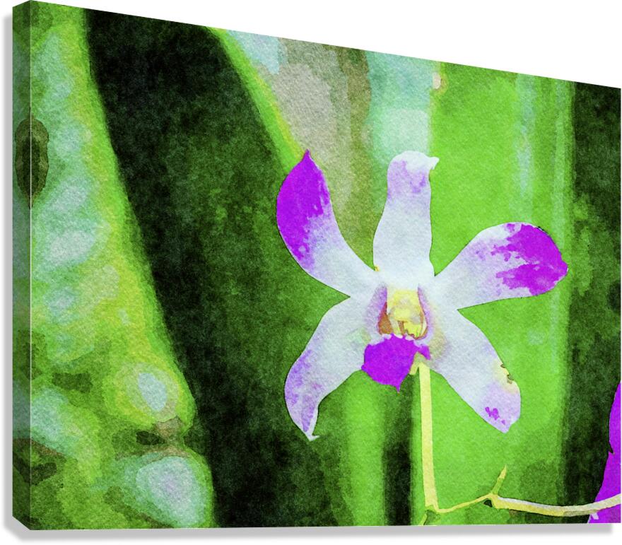 Vibrant watercolor of a purple orchid against a lush green backdrop Canvas Print