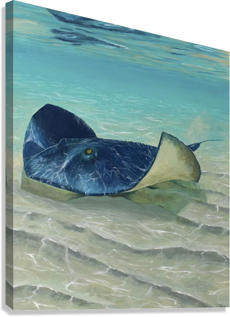 CastingRays Canvas Print