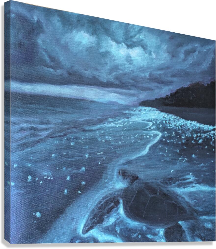 Glimmer Canvas Print