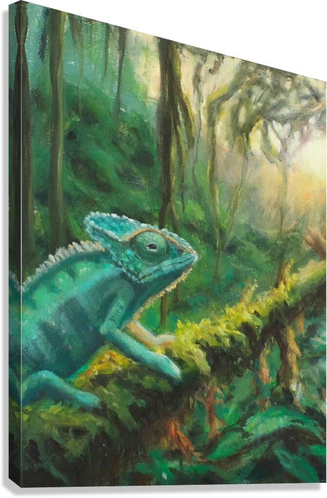 Explore Canvas Print