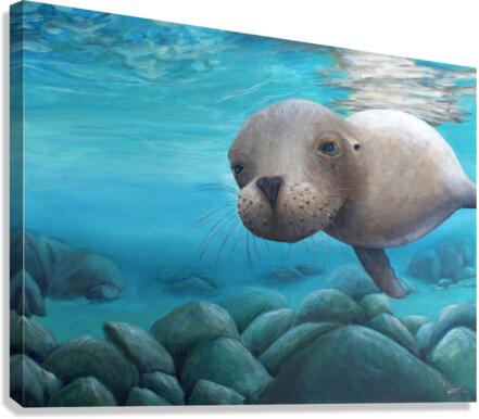 Curious | Print Canvas Print