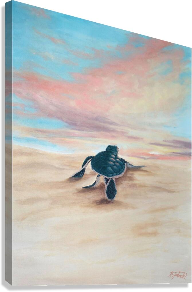 First Light  Canvas Print