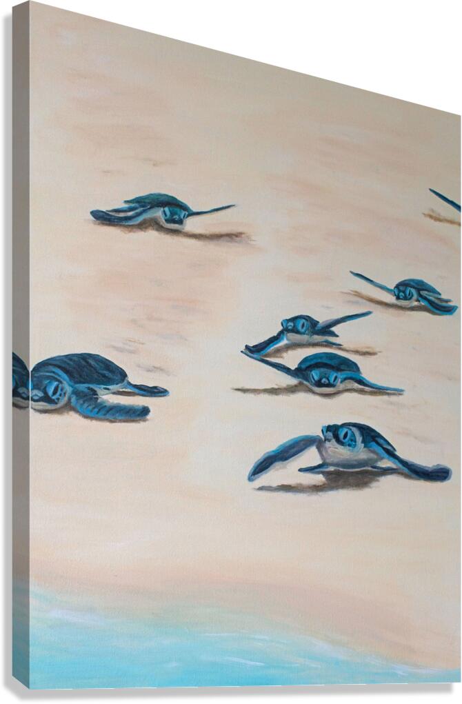 Awake B Canvas Print