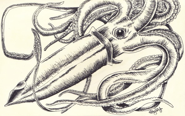 Architeuthis Print