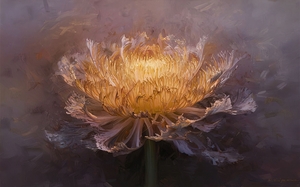 abstract oil painting of flowers 48