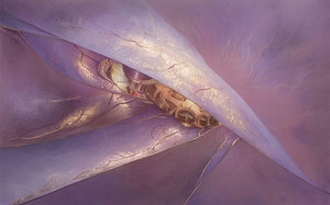 abstract oil painting of flowers 26