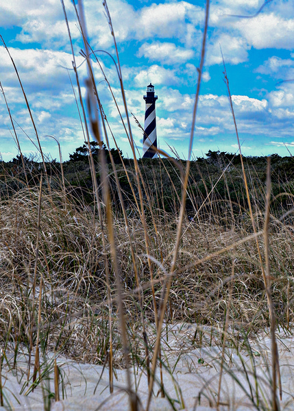 The Coastal Guardian by Nates States