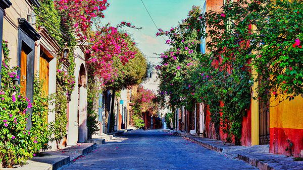 Streets of San Miguel by Nates States