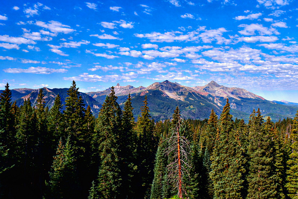 Colorado in the Pines by Nates States