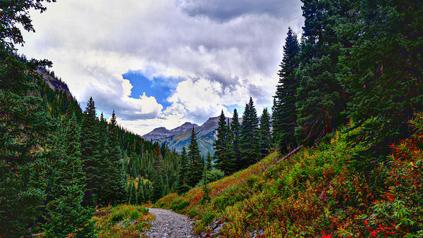 Colorado Mountain Trail by Nates States