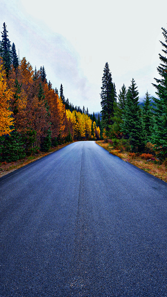 Fall Color Cruise by Nates States