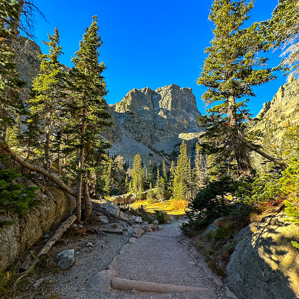 Trail through the Rockies by Nates States