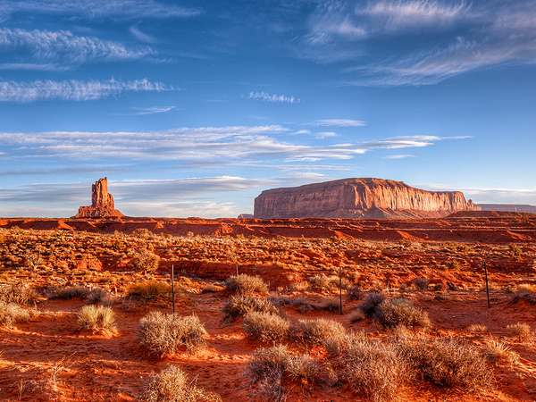 Desert Oasis by Nates States