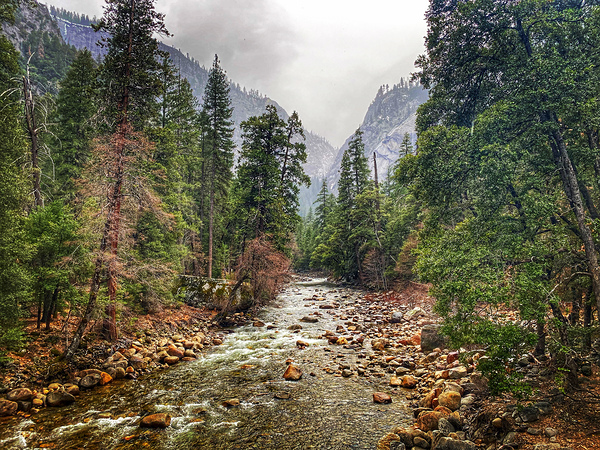 Smokey Canyon Rocky River by Nates States