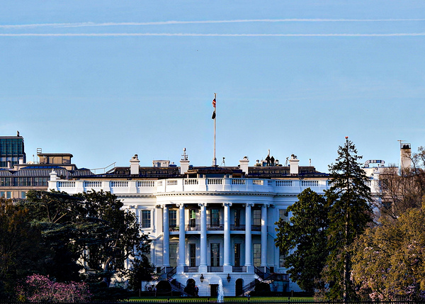 White House  by Nates States