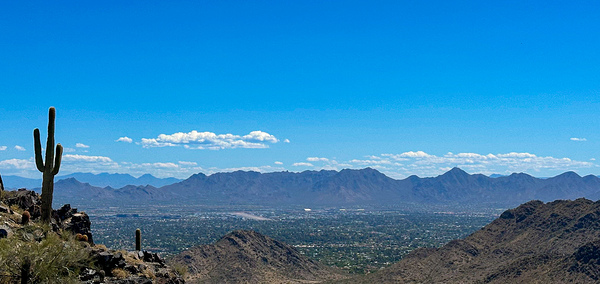 Lonesome Cactus by Nates States