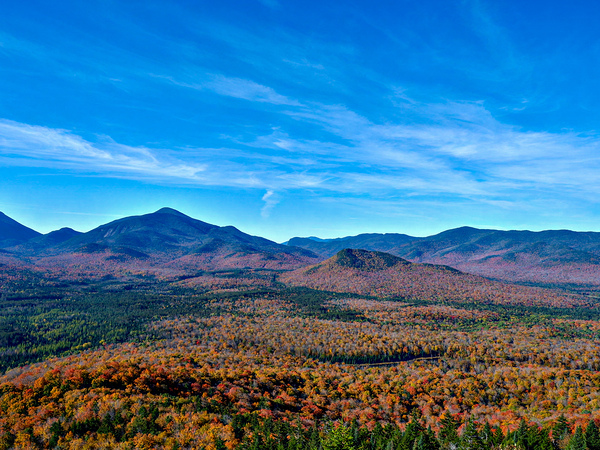 Changing of the Leaves by Nates States