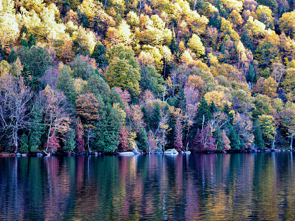 Autumn on the Pond by Nates States