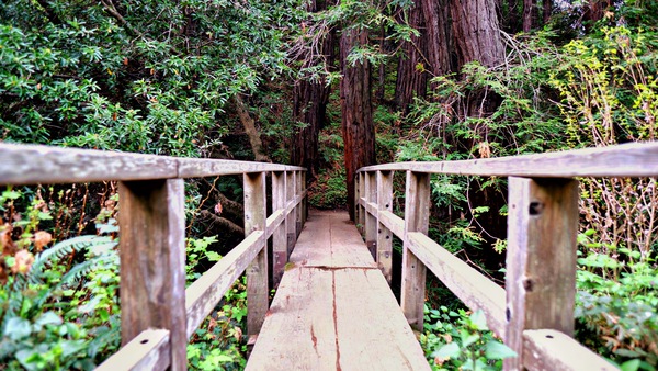 Bridge to the Unknown by Nates States