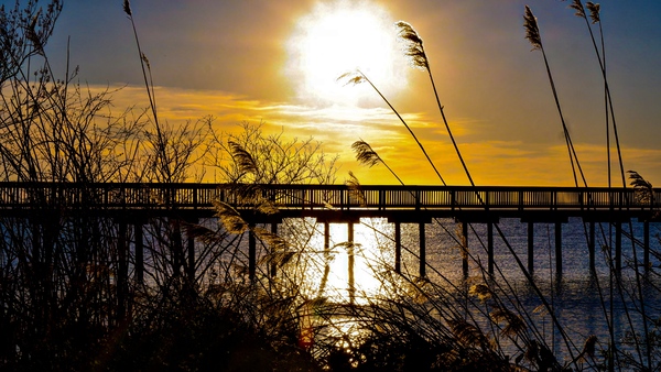 Golden Hour at the Pier by Nates States