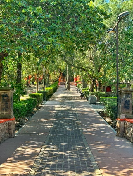 Walk in the Park by Nates States