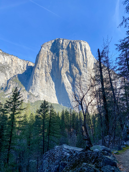 El Cap 2 by Nates States