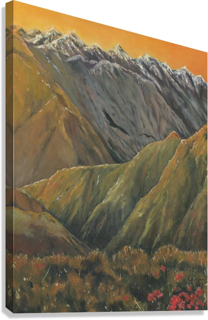 Hells Canyon Canvas Print