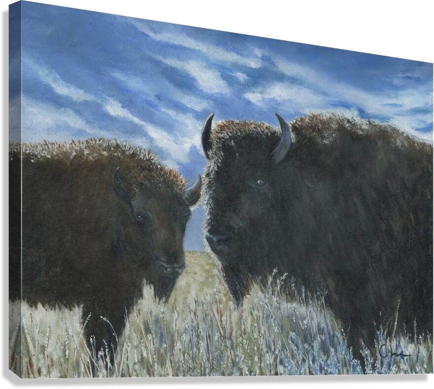 Winter Wisdom Canvas Print