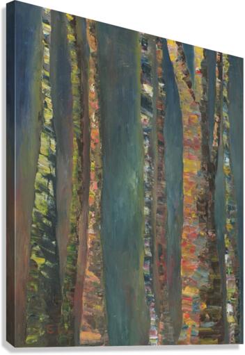 Night Forest Canvas Print