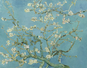 Vincent van Gogh   Almond blossom